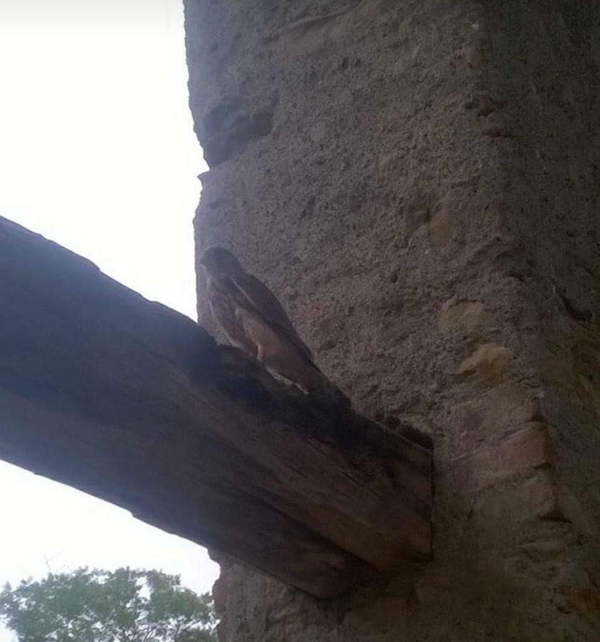 Cascina Carrata Casa Vacanze Villa Parodi Ligure Dış mekan fotoğraf